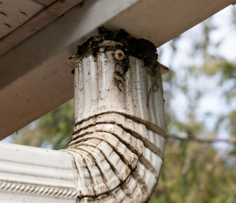 Roof Plumbers Melbourne
